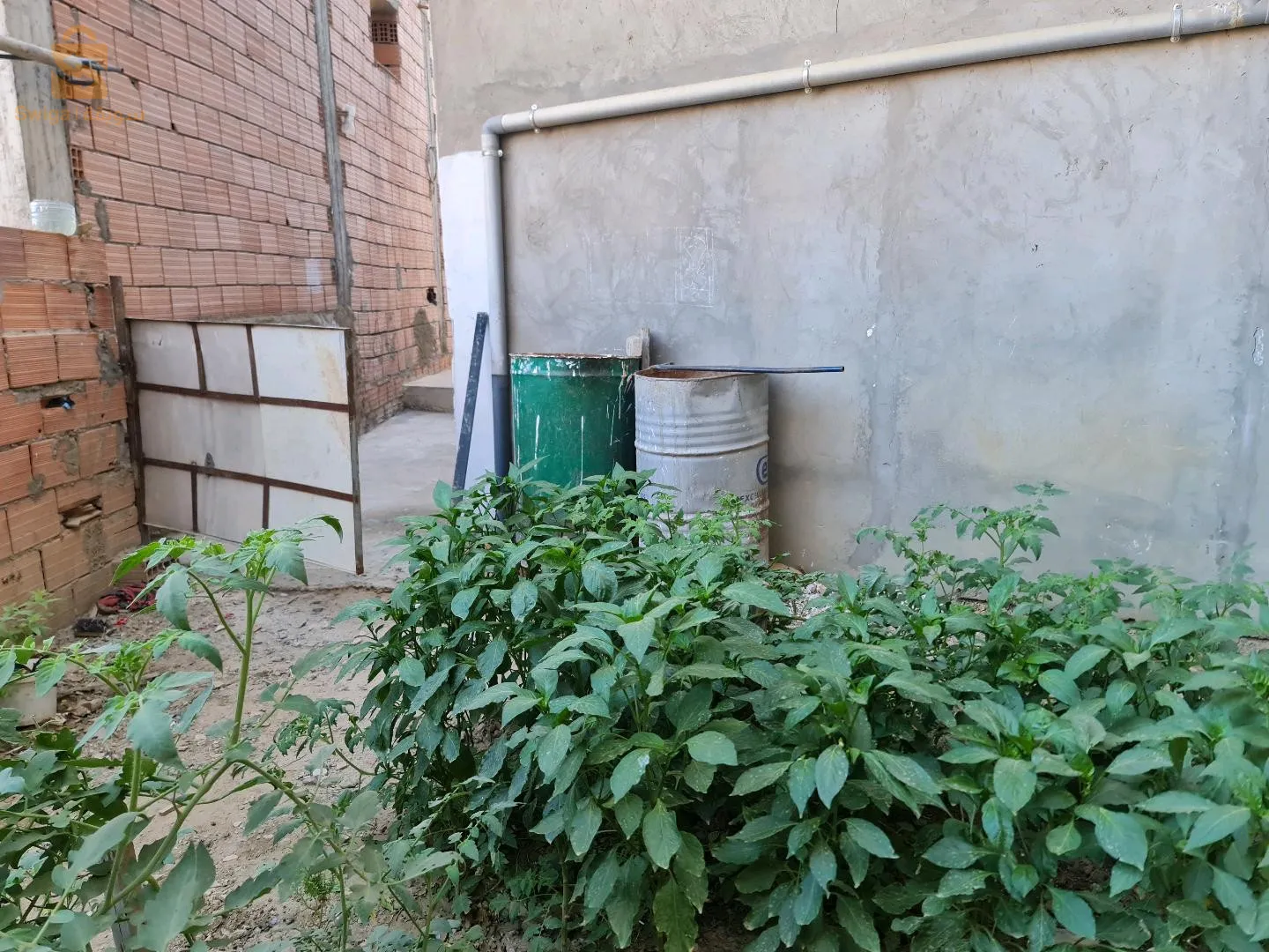 فيلا. جنان طبال. البرواقية