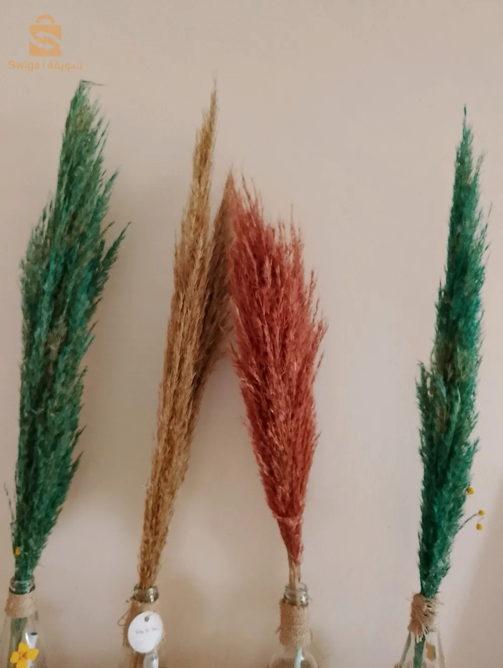 ازهار الزينة🌷