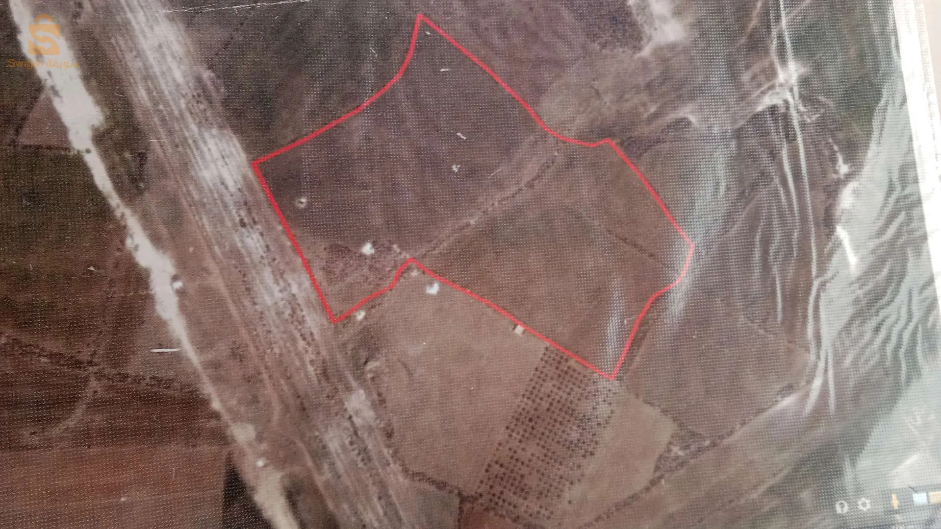 ارض فلاحية في وهران بطيوة 12 هكتار