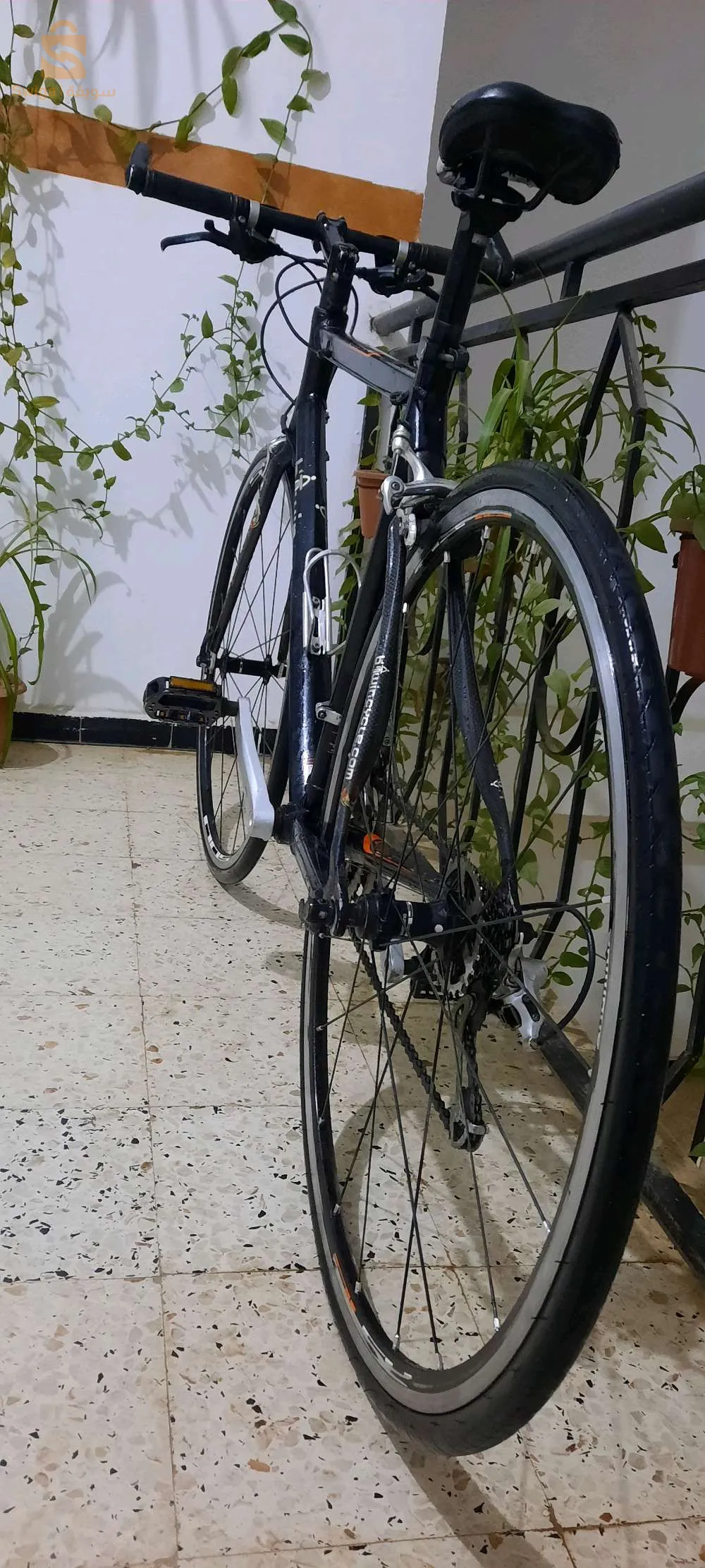Vélo demi-course