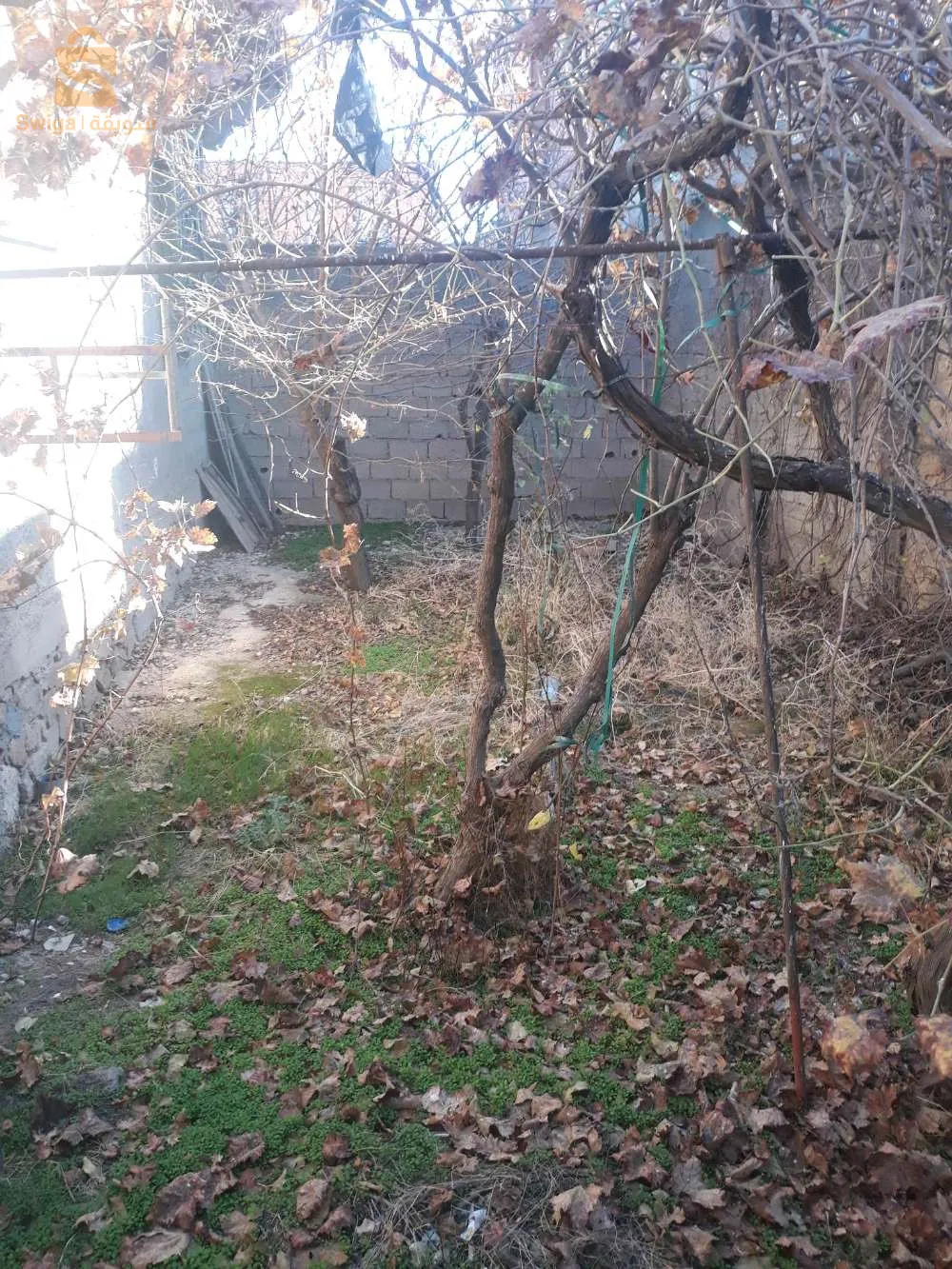 منزل للبيع بلدية الحامة ولاية سطيف قريب من جميع المرافق للتواصل :0696536507