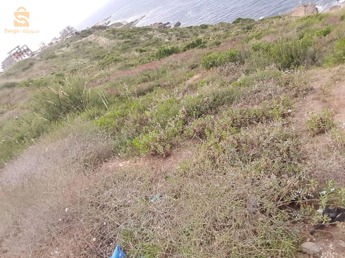 بيع قطعة ترابية منا الطريق الى البحر في ولاية بجاية بكل الوثائق و كما انها تقع خارج المناطق التوسيع السياحي تبلغو مساجتها حوالي عرة الاف متر مربع للاستفسار اتصل على الرقم، 0661841982