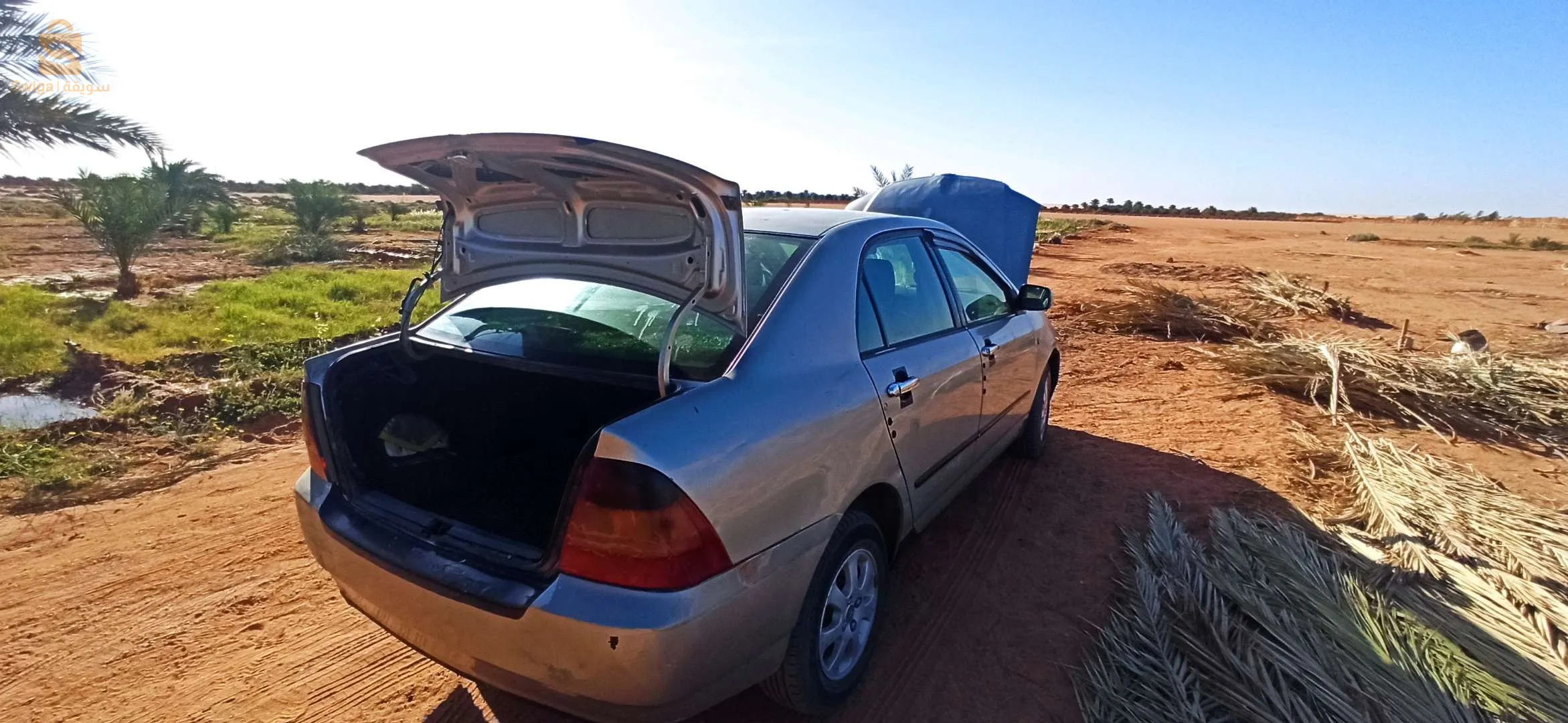 بلدية فقارة الزاوية ولاية ان صالح