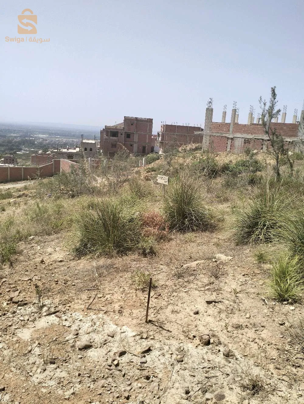 lot terrain