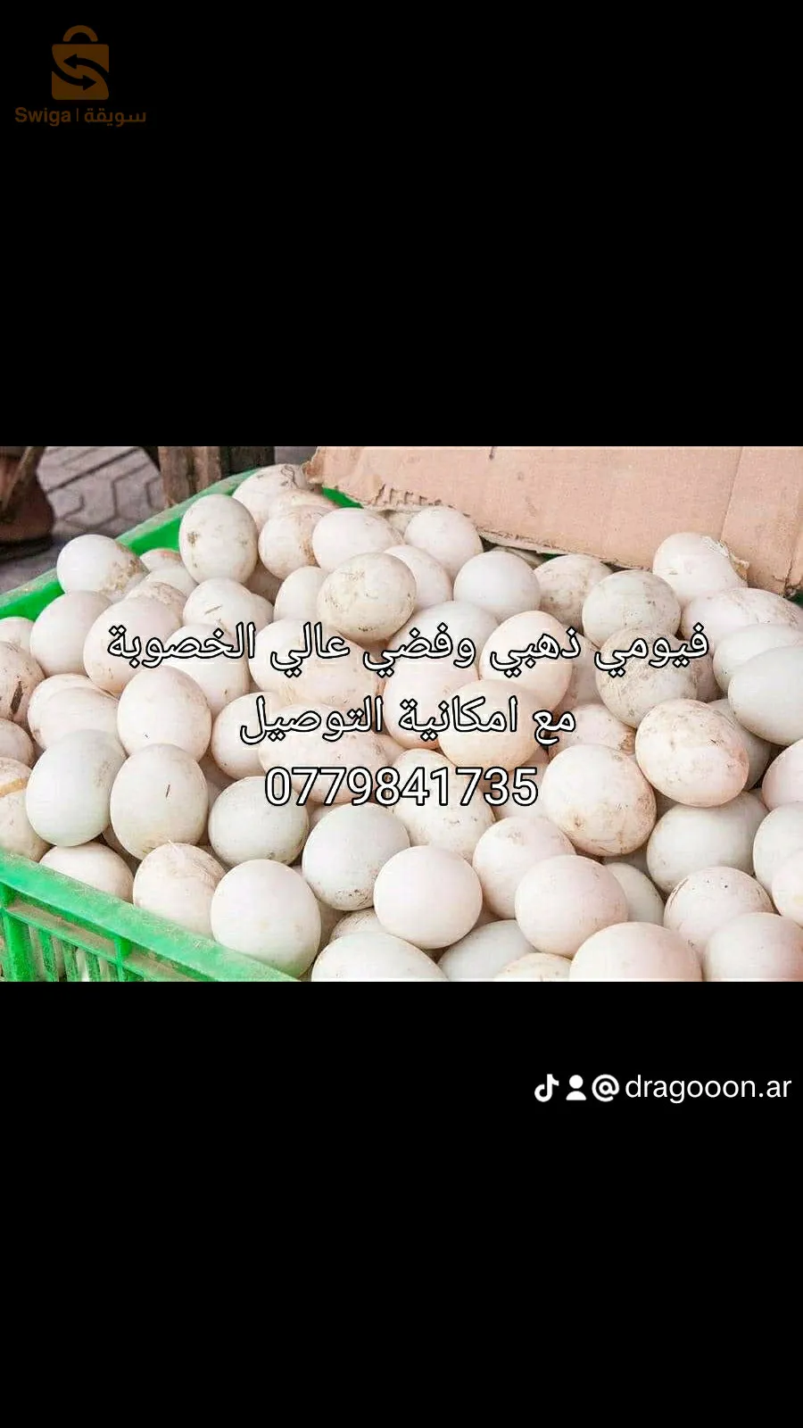 بيض عرب