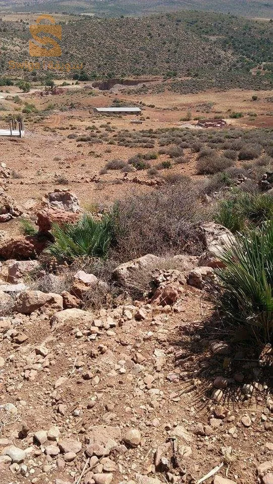 بوجليدة حي عبد المومون بن علي