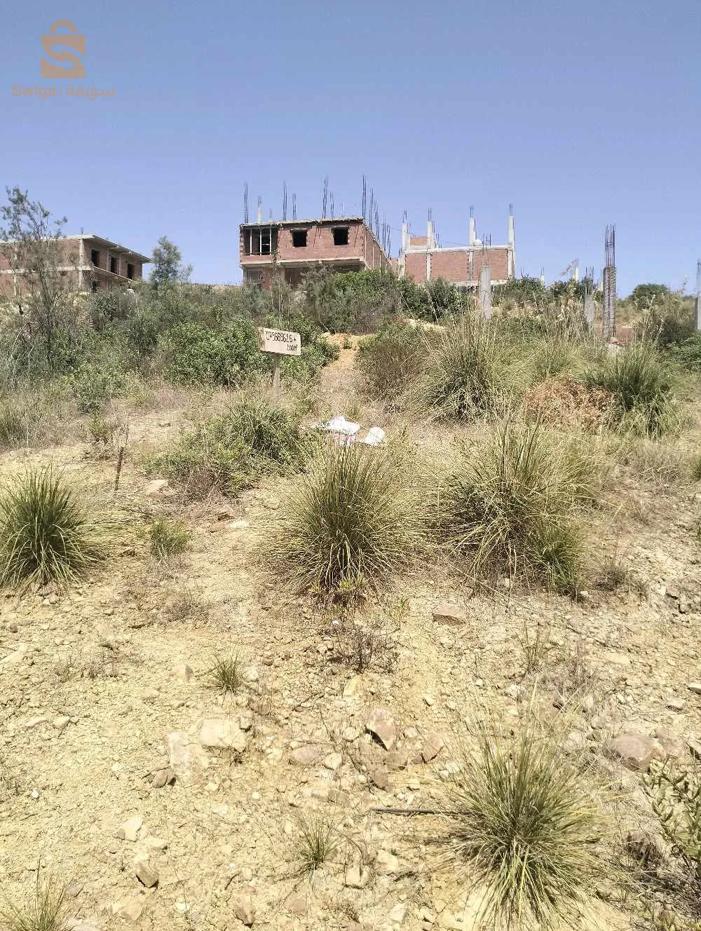 lot terrain