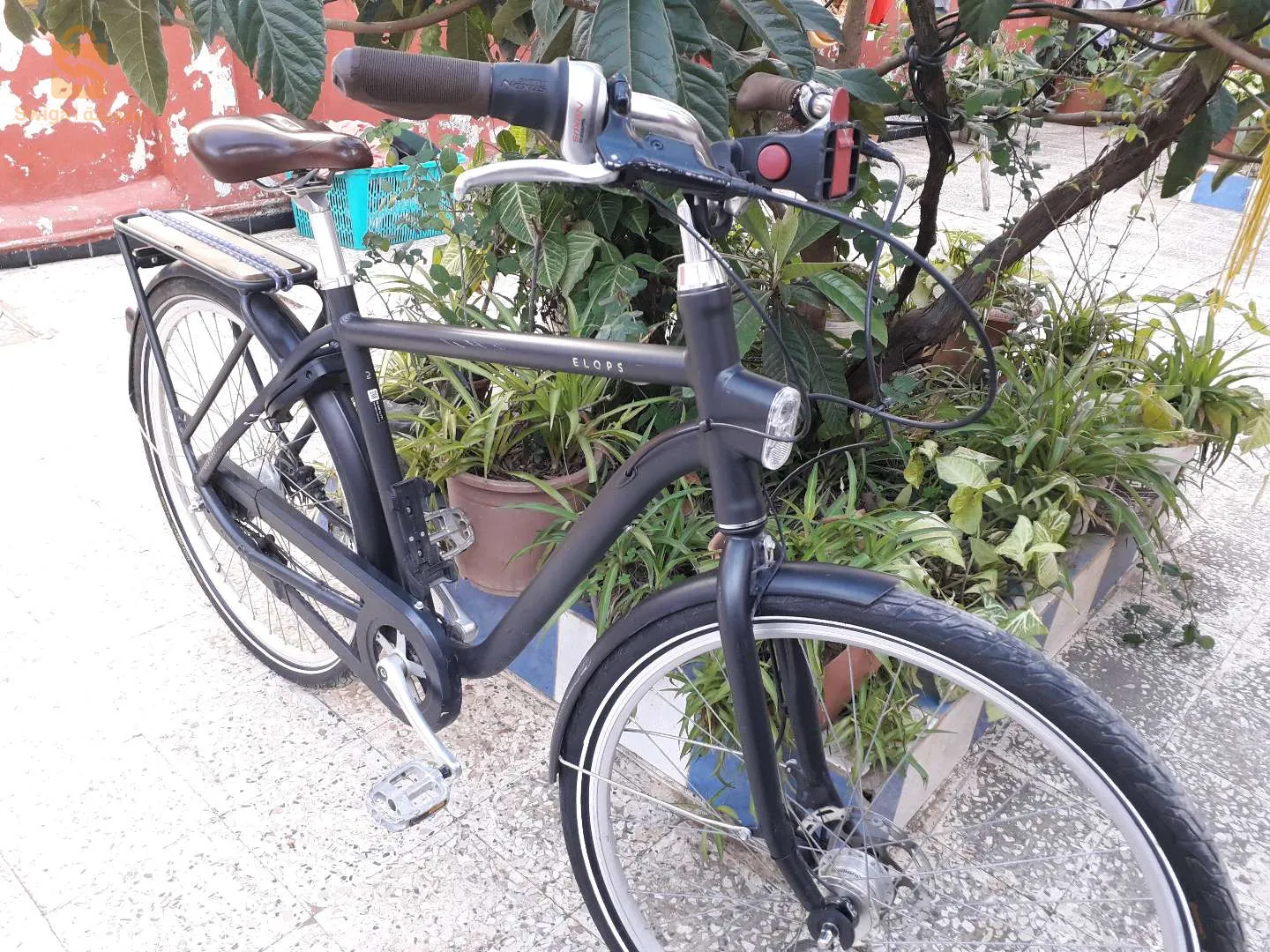 velo elops
