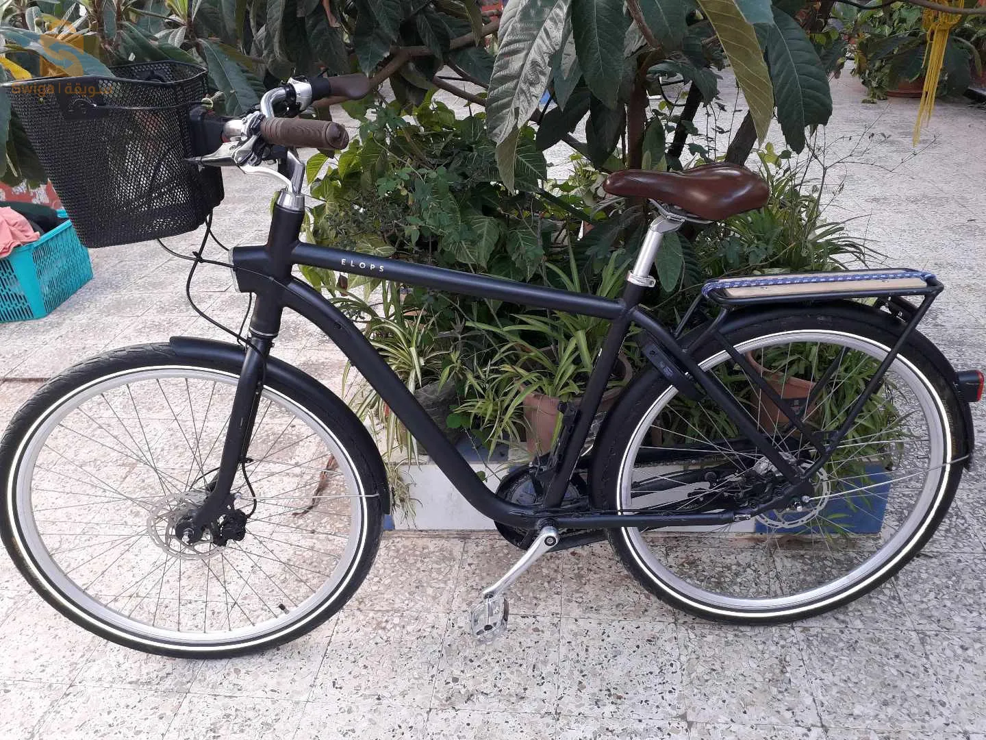 velo elops