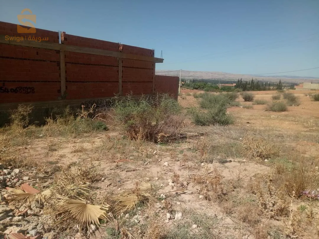 حي سليم 2واد سلي الشلف