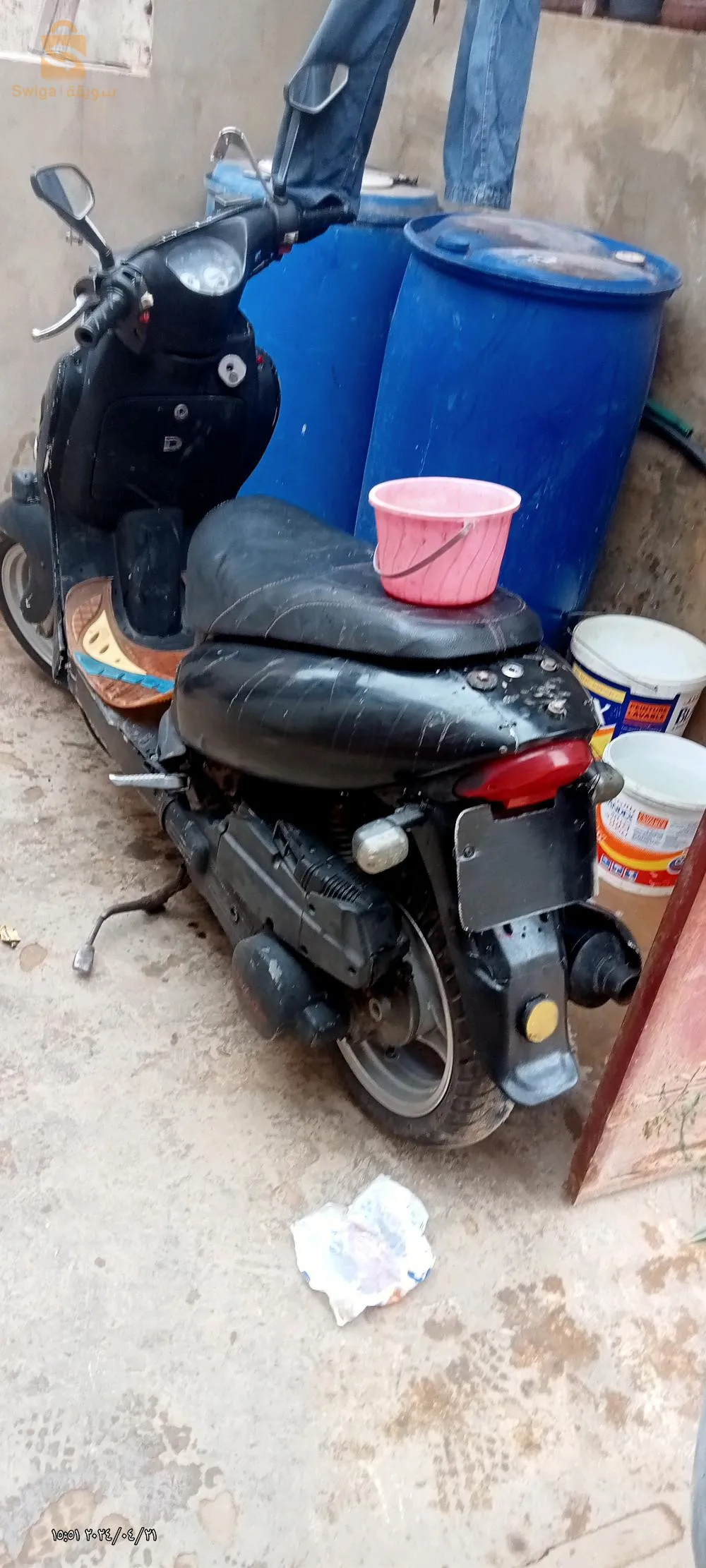 وهران ارزيو