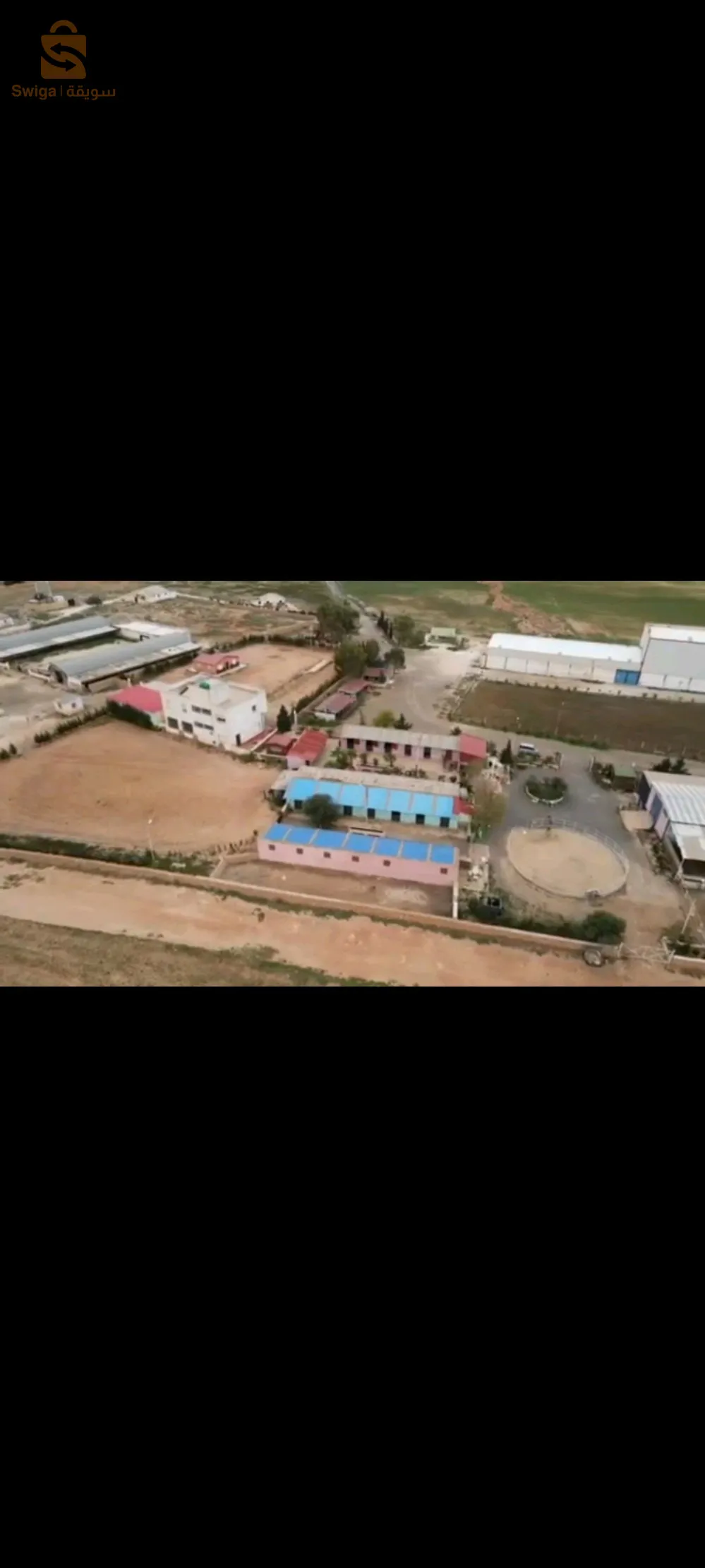 فيرمة فلاحية في عين تموشنت