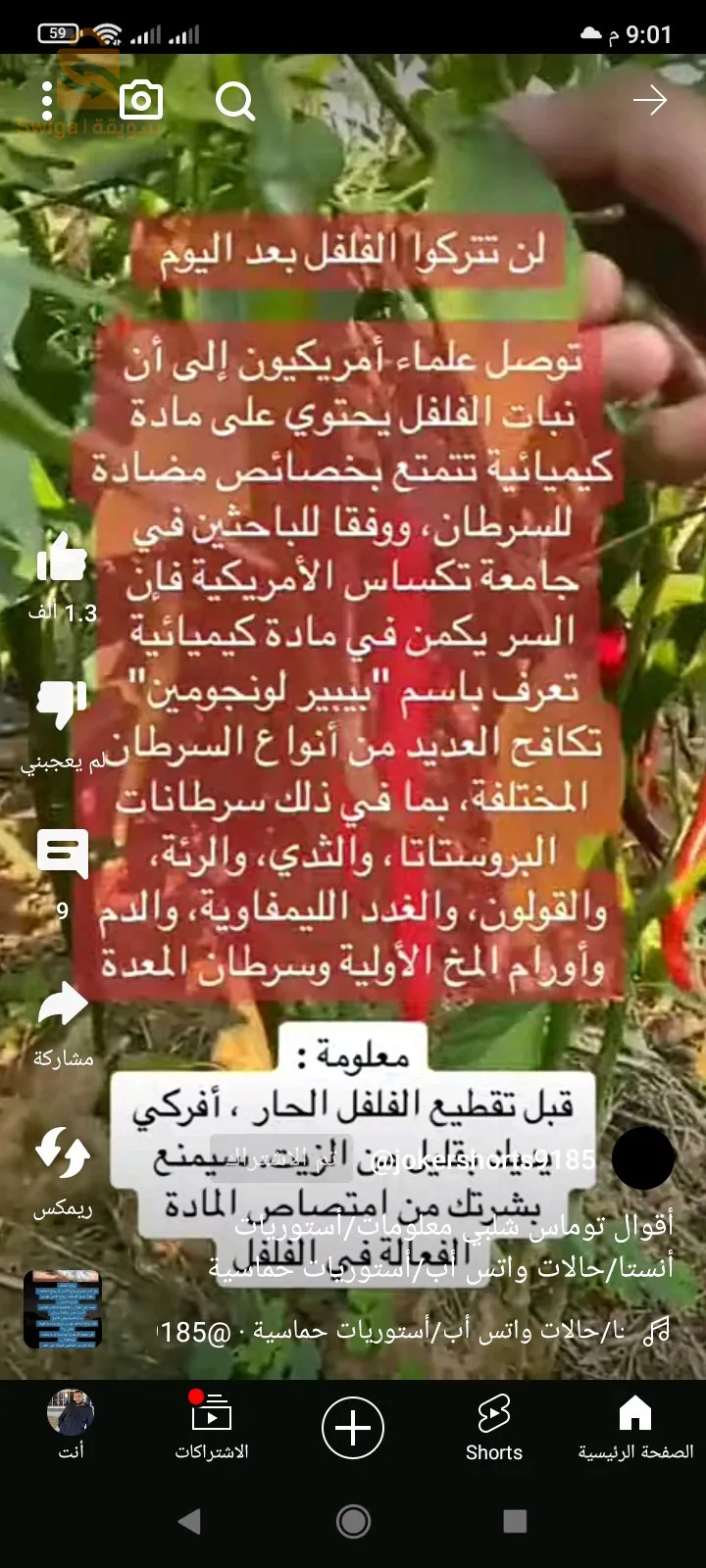 طريق زمورة غليزان