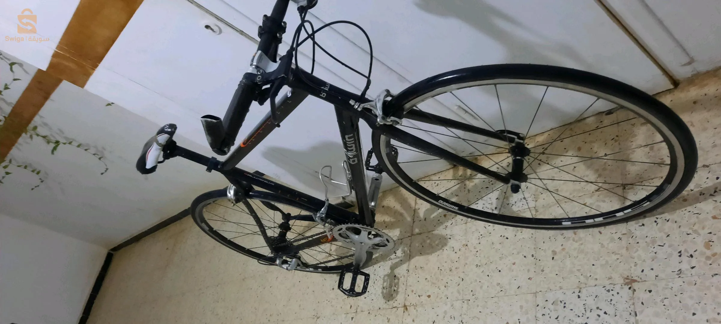 Vélo demi-course