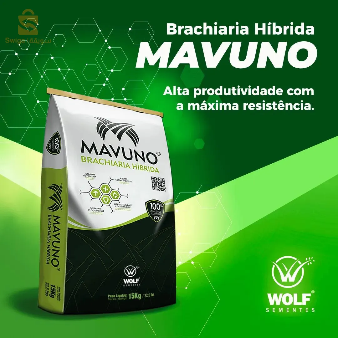 بذور العلفية حصرية في الجزائر من العملاق الأمريكي شركة وولف سومنت