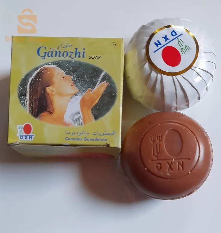 ولاية المغير