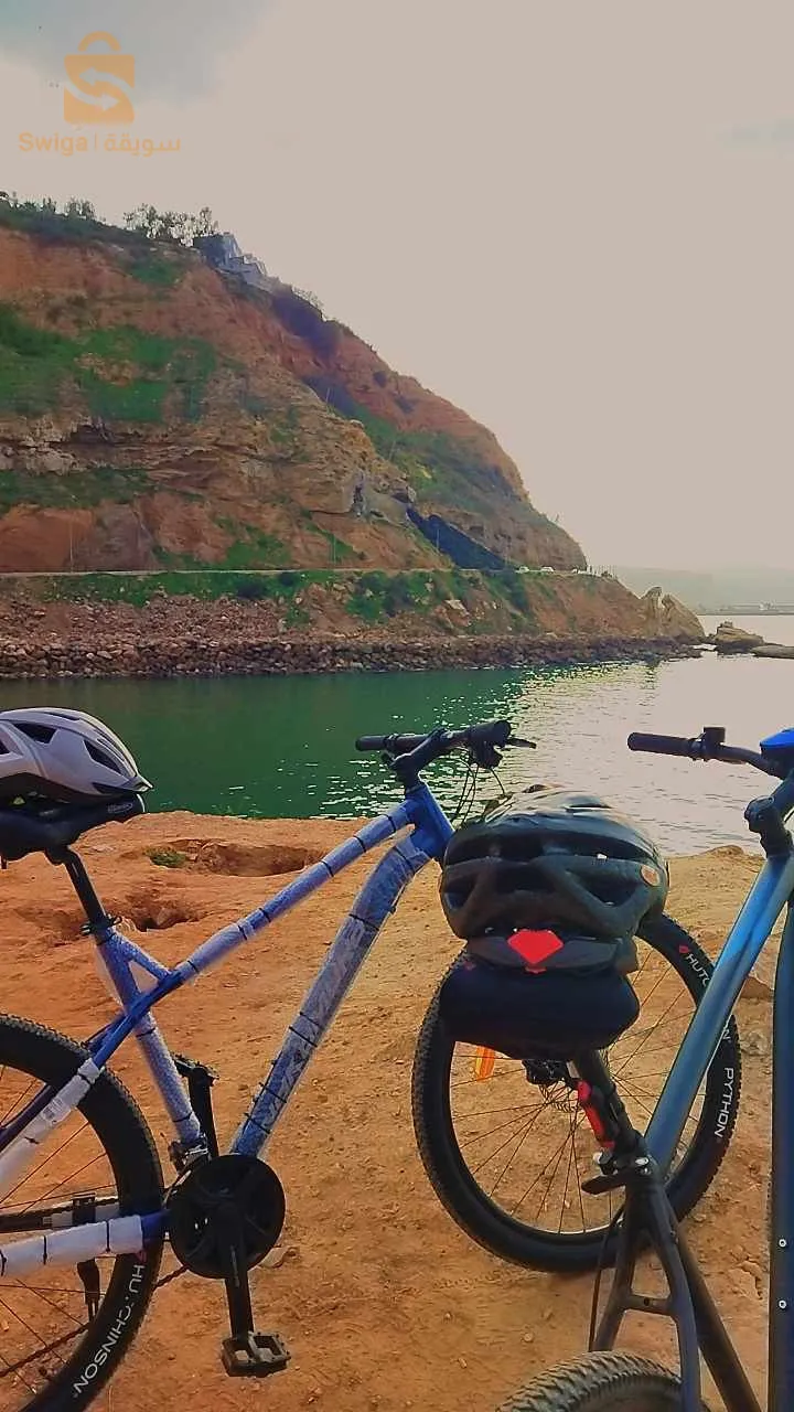 بني صاف بني