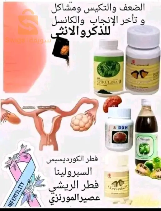 الجزائر