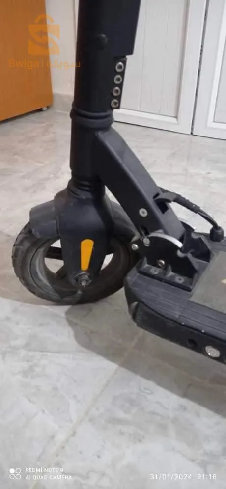 تادميت