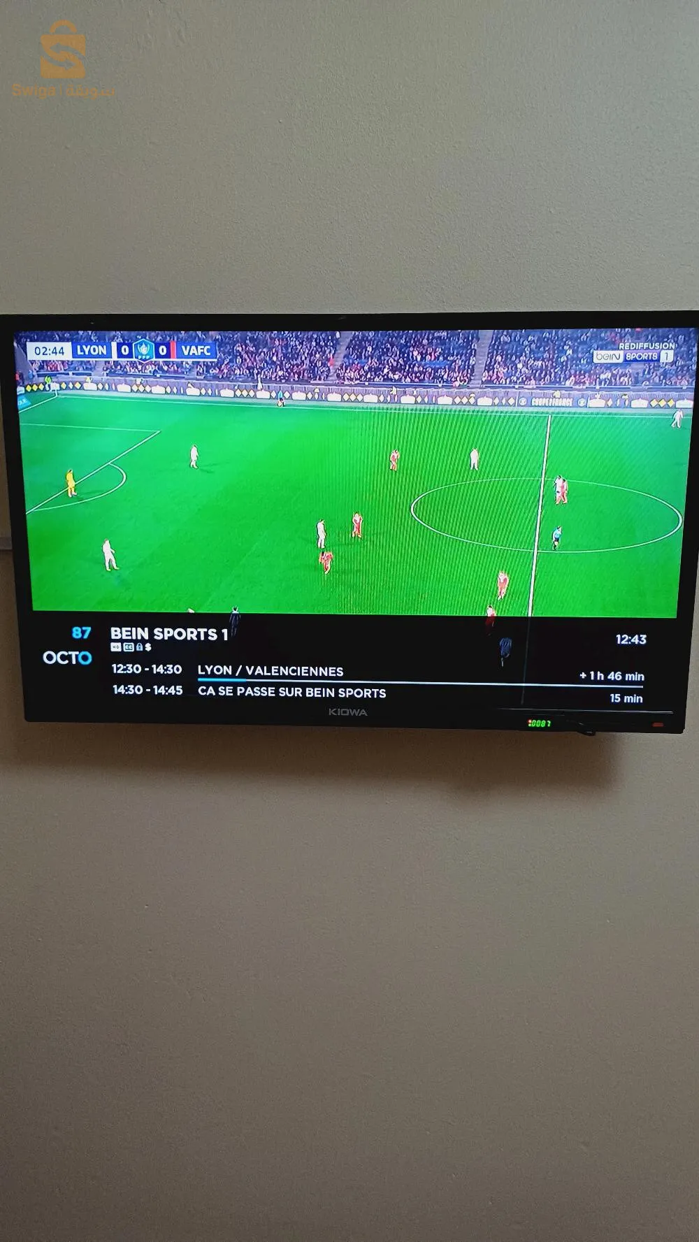 ديمو  octo mini se plus