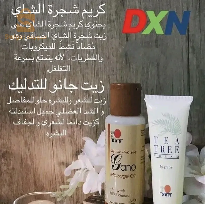 الجزائر