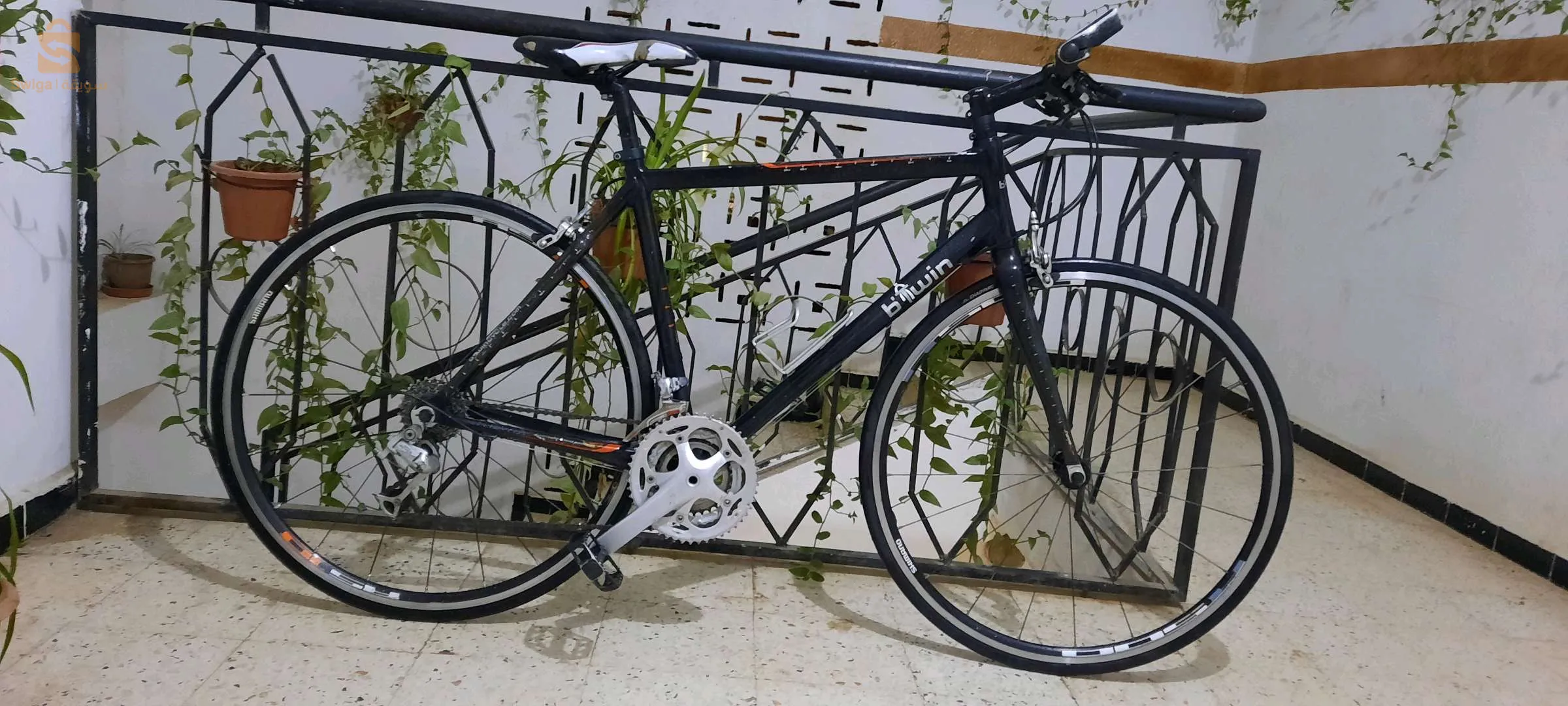 Vélo demi-course