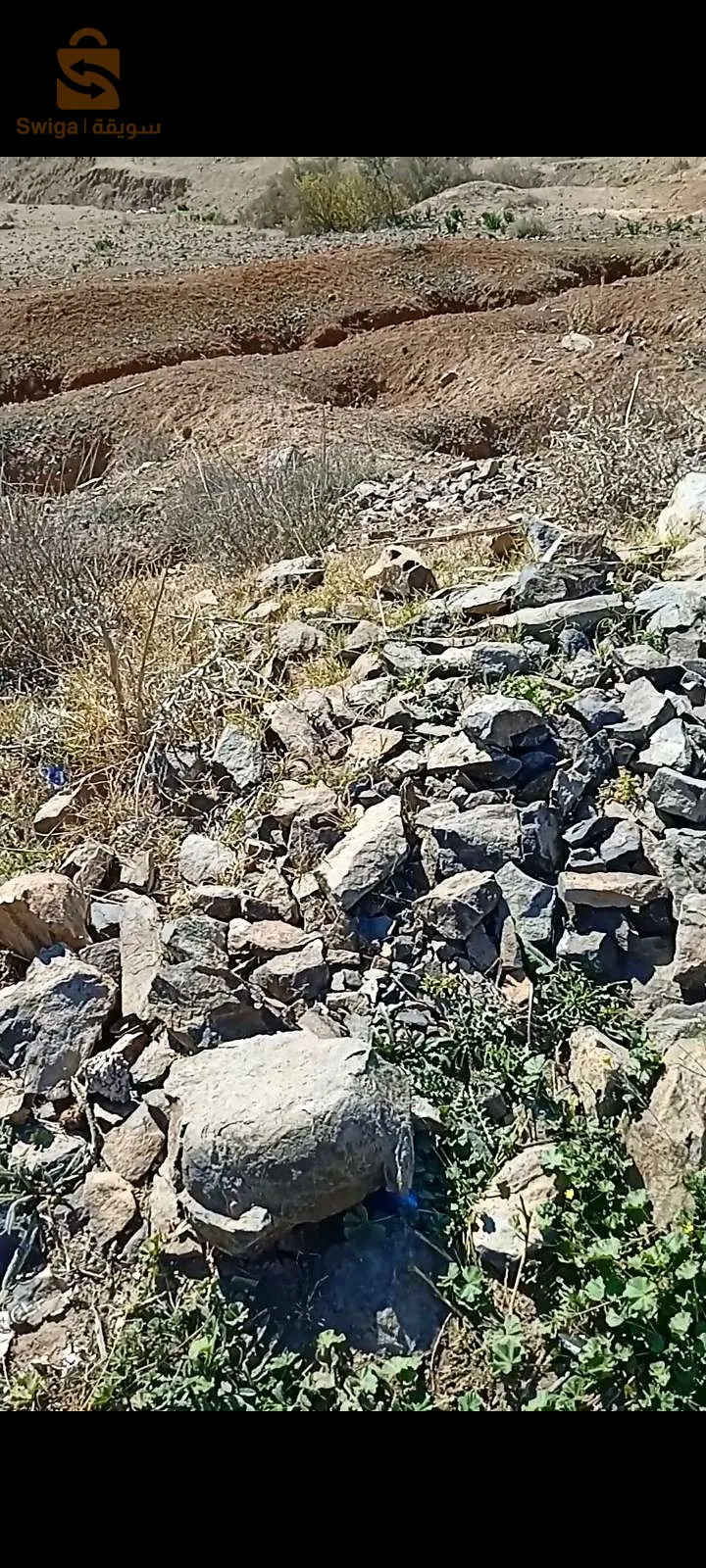 دار بنطاطا بعين جنان