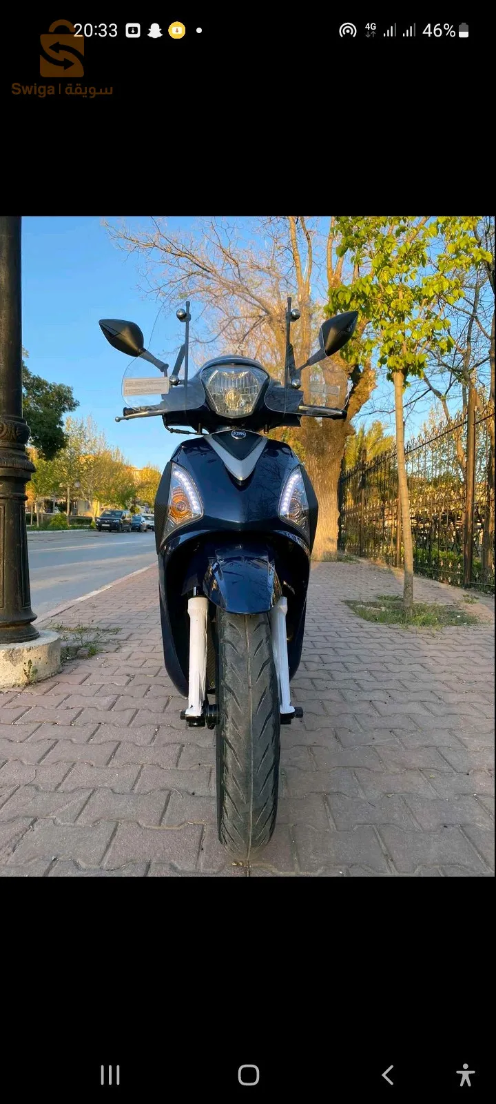 سطيف لحشامة