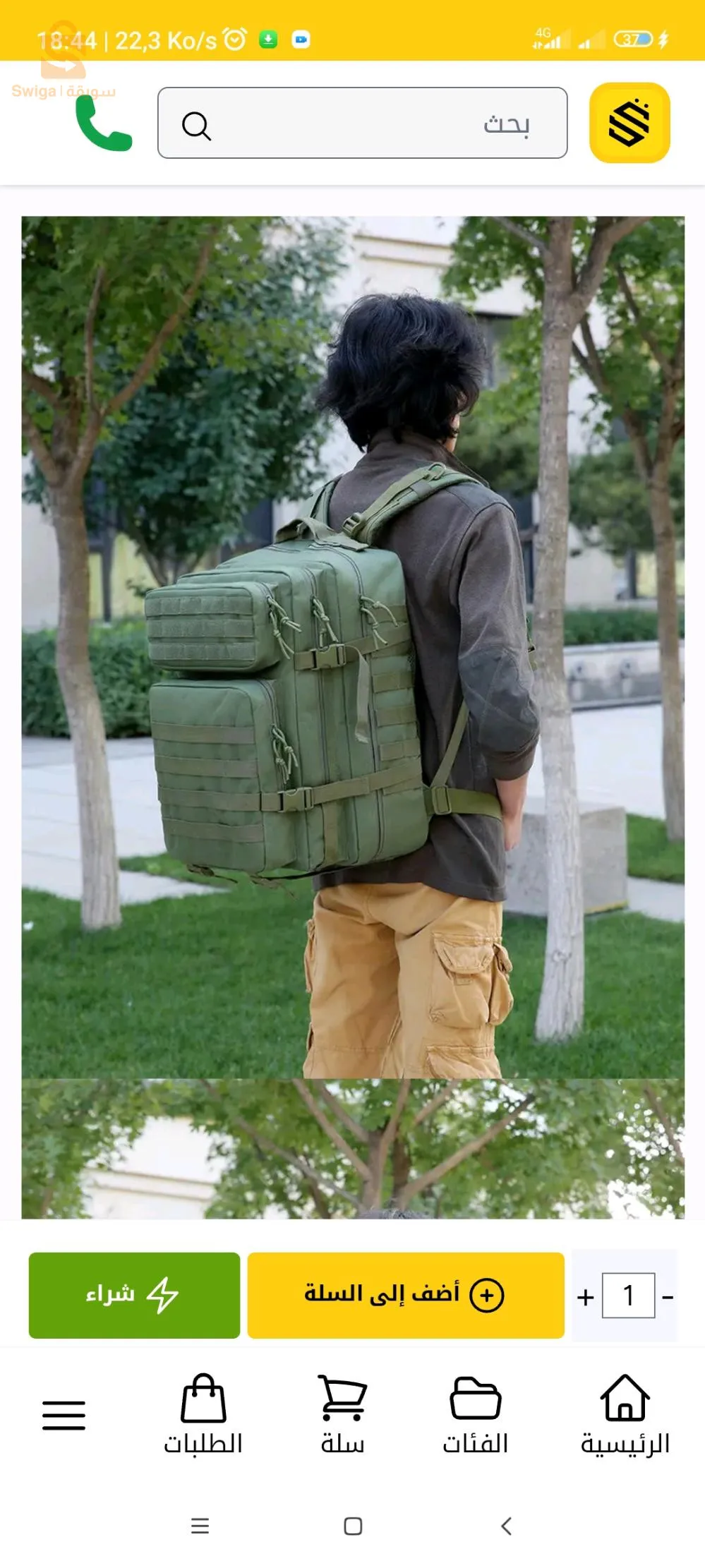 تلمسان