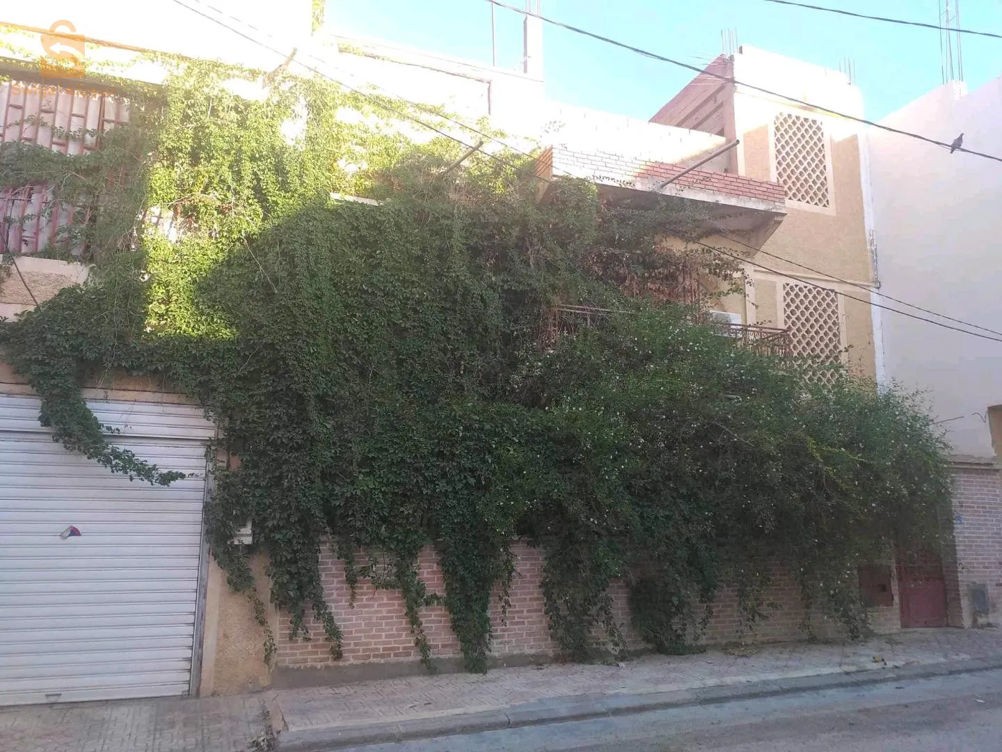 خنشلة