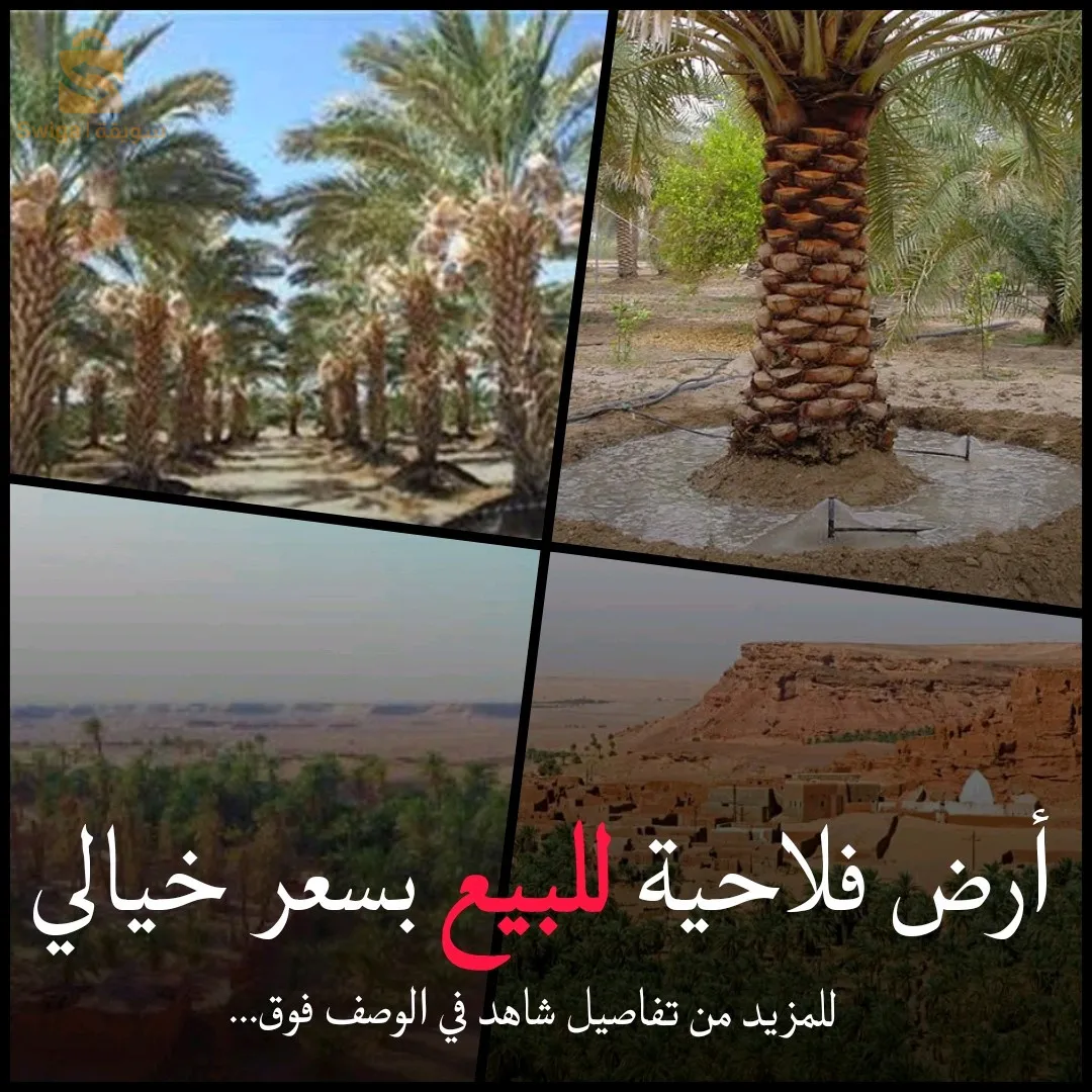 أرض فلاحية للييع في منطقة تيميمون