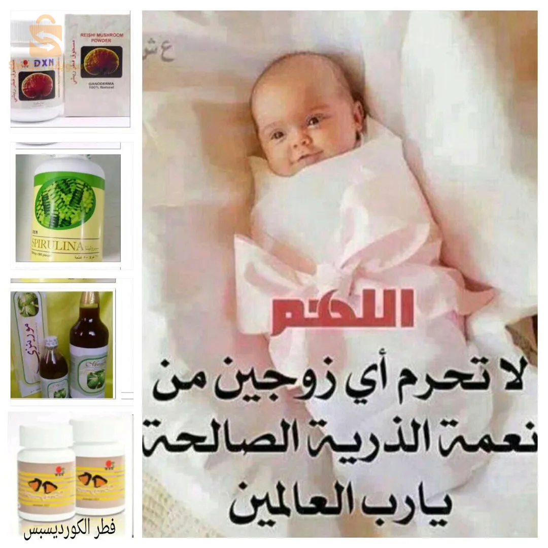 الجزائر