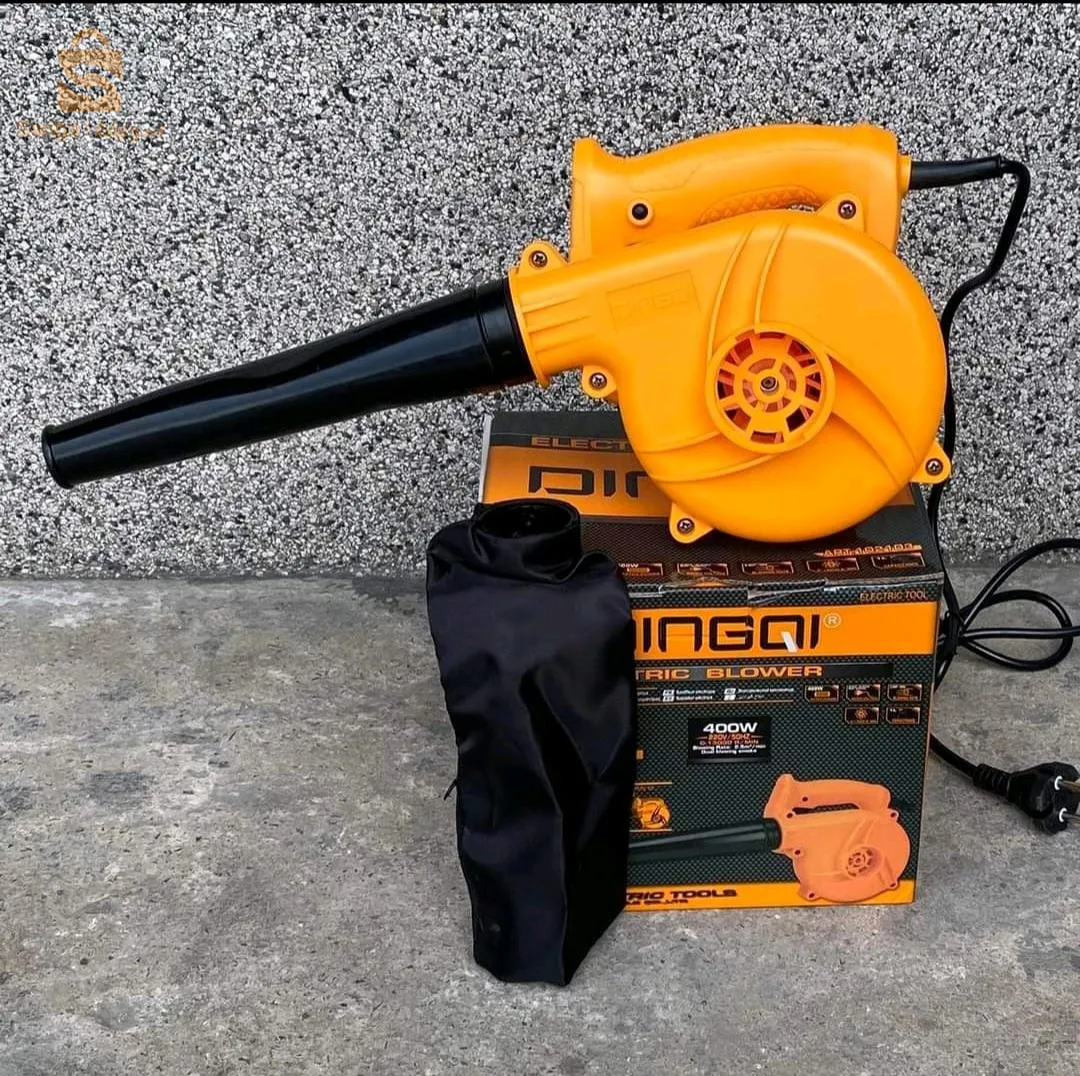 souffleur aspirateur DINGQI 400W