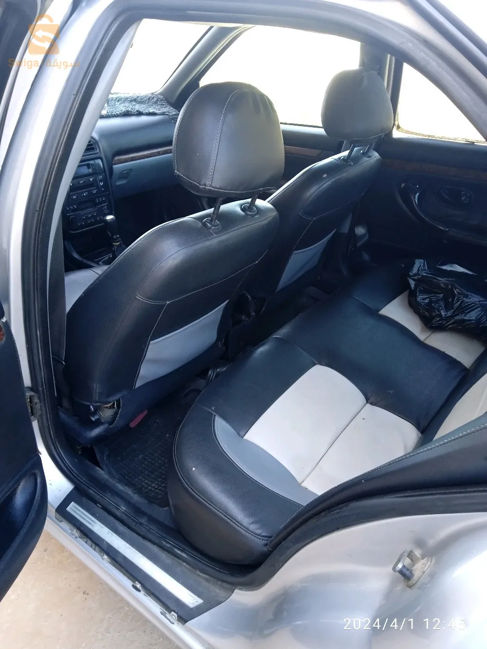 عشعاشة مستغانم