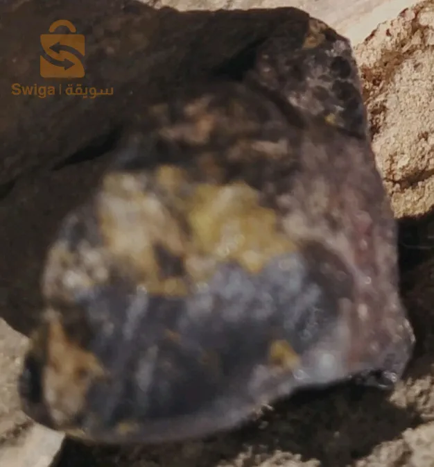 météorite trouver dans le Sahara au alentour de Béchar.
