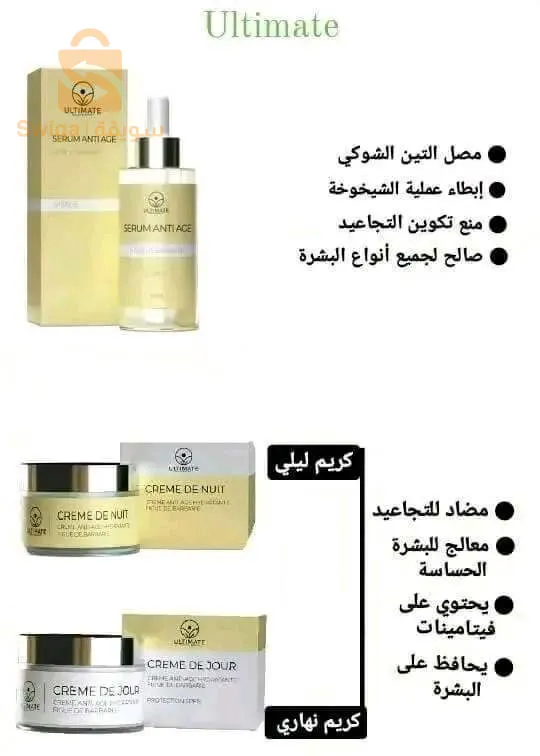 الجزائر