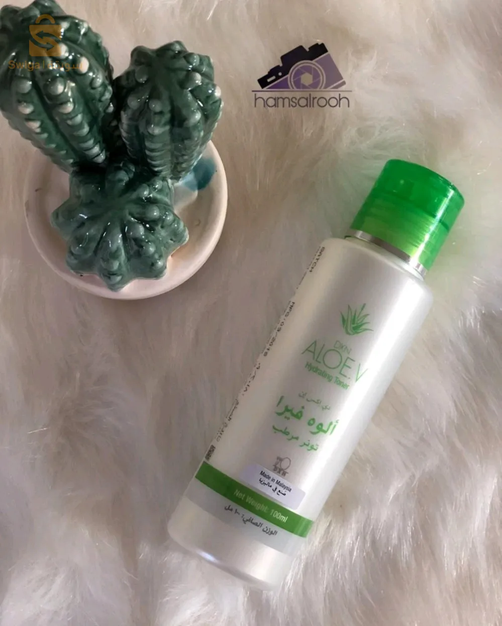 ولاية المغير