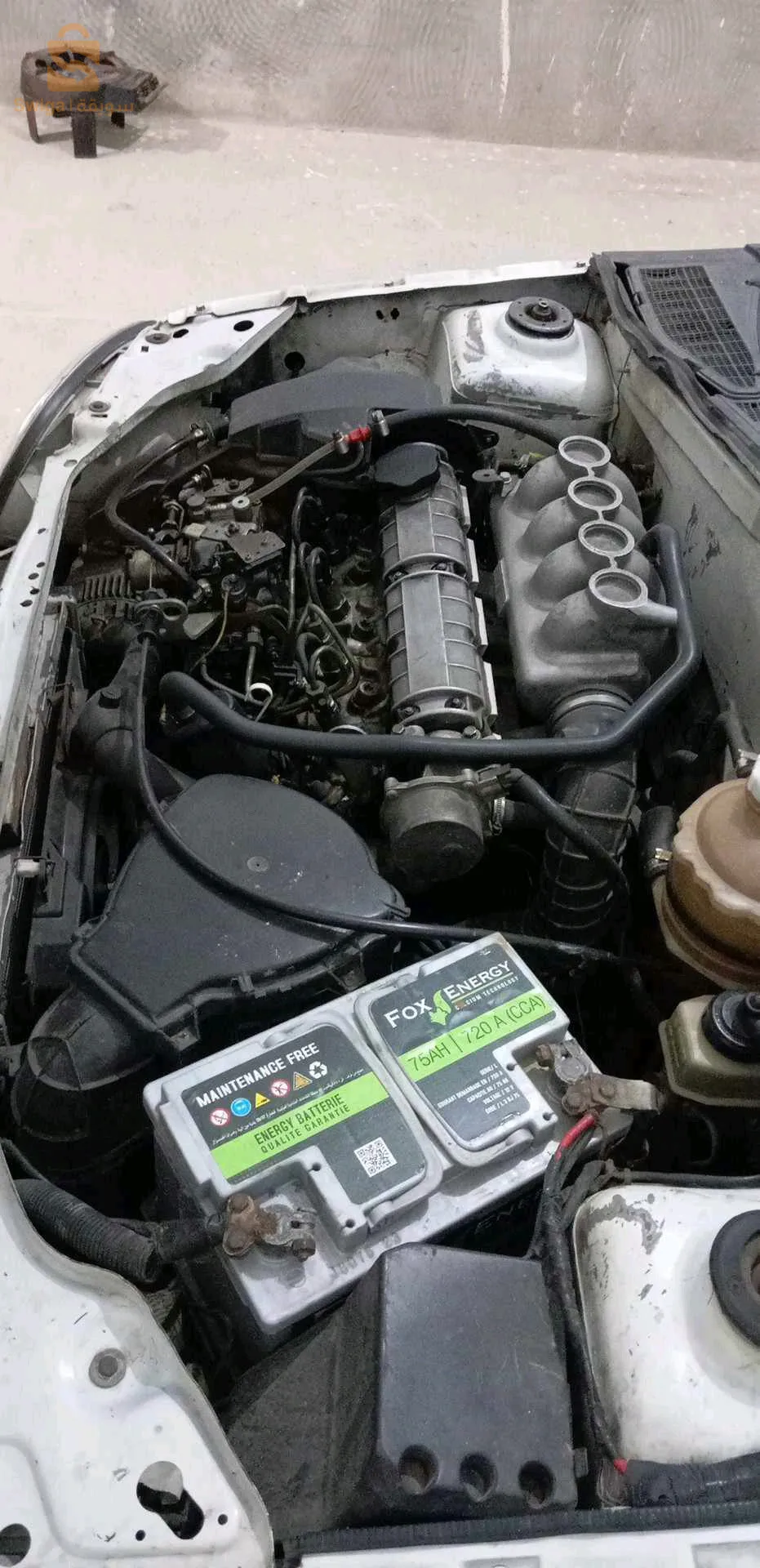 جابونية 1.9 سامبل