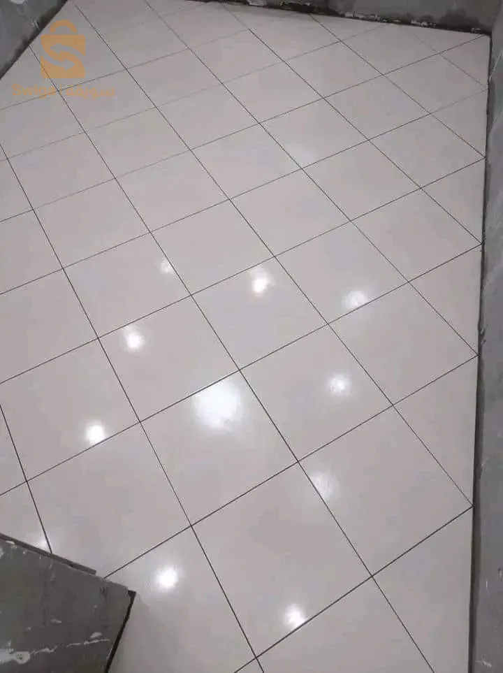 عين الدفلي