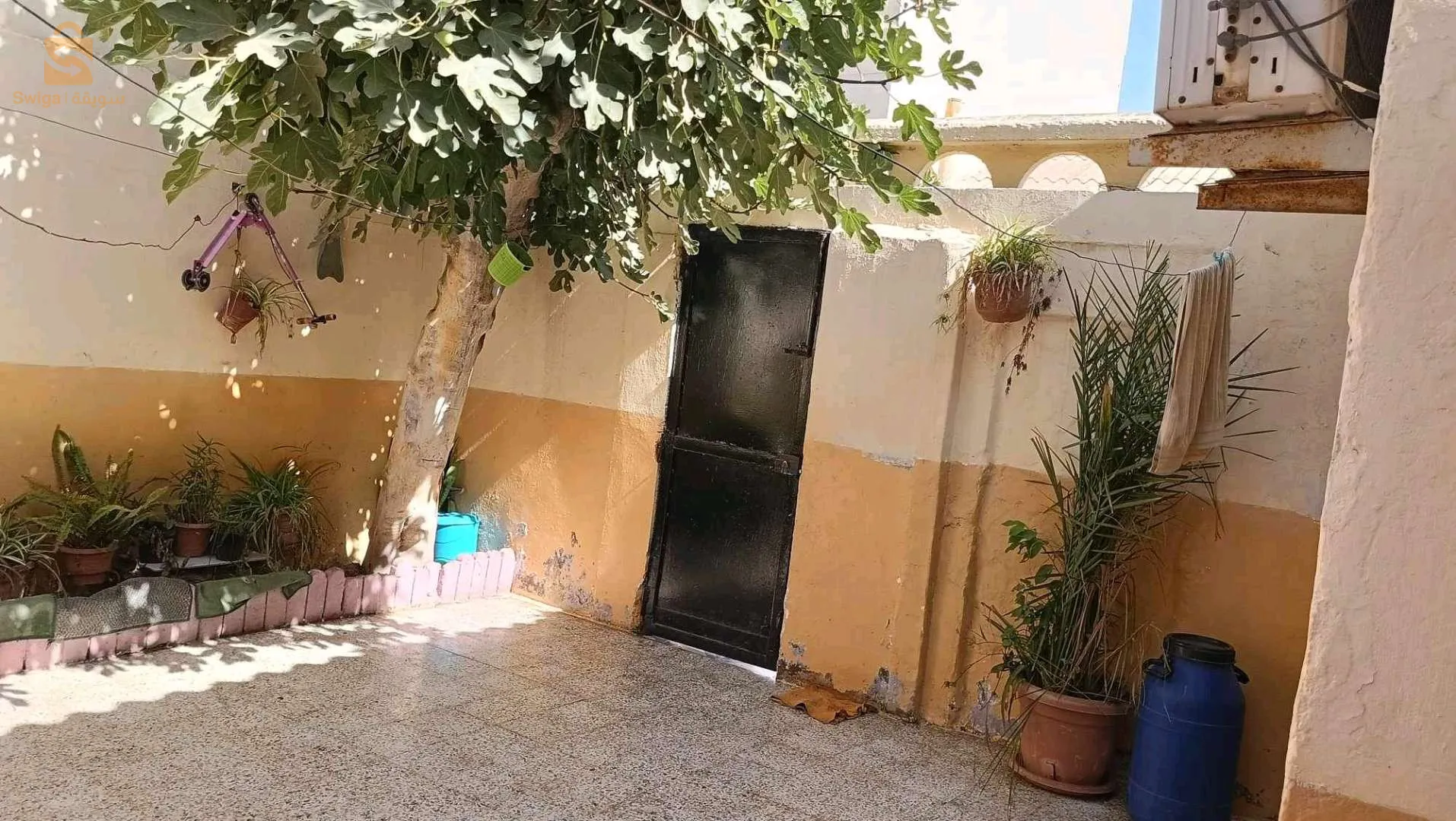 دار البيضاء عند السيانس ركازمو