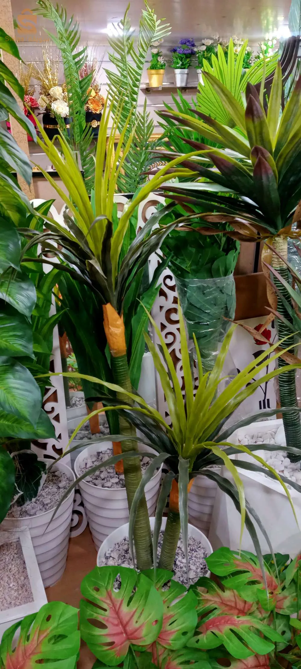 ديكورات المنزل...لوحات،مرايا و أشجار اصطناعية