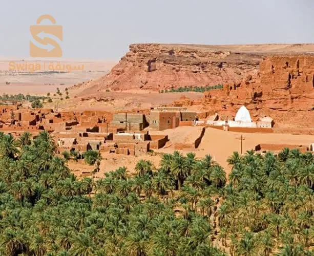 أرض فلاحية للييع في منطقة تيميمون