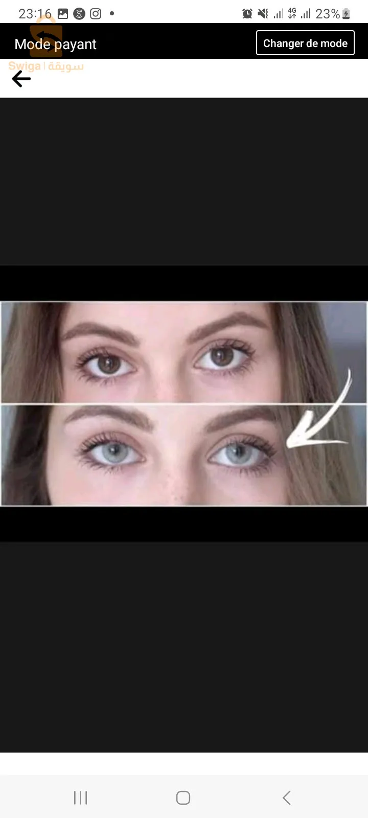 عدسات سلوتيكا