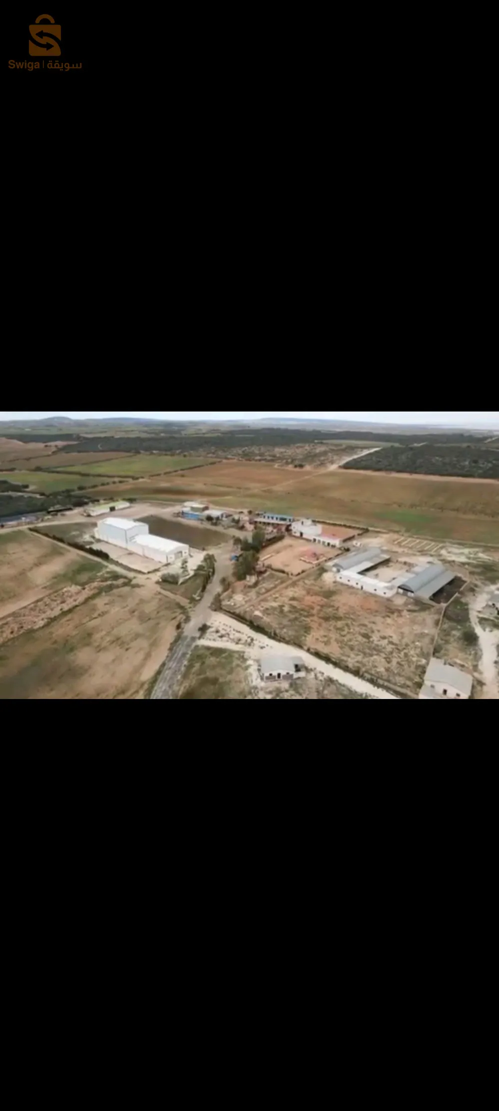 فيرمة فلاحية في عين تموشنت