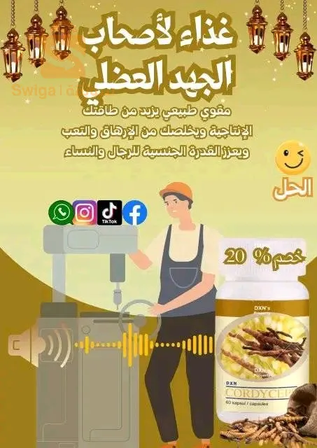 الجزائر