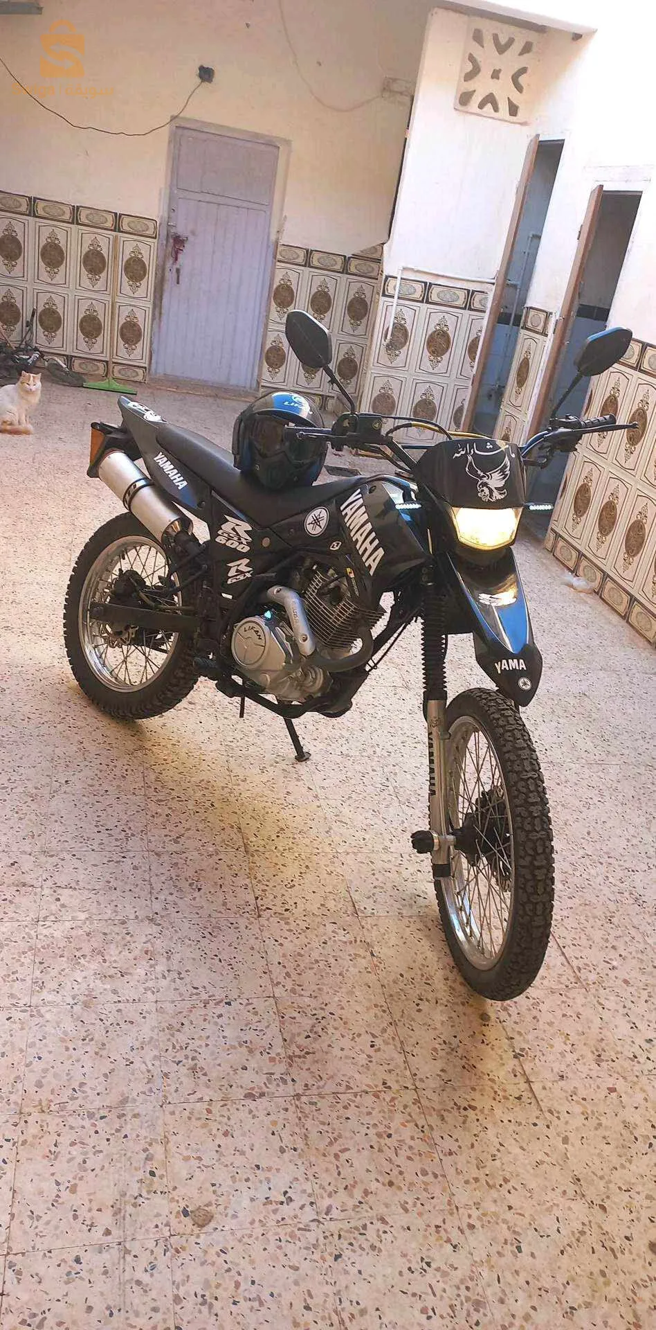 الاغواط