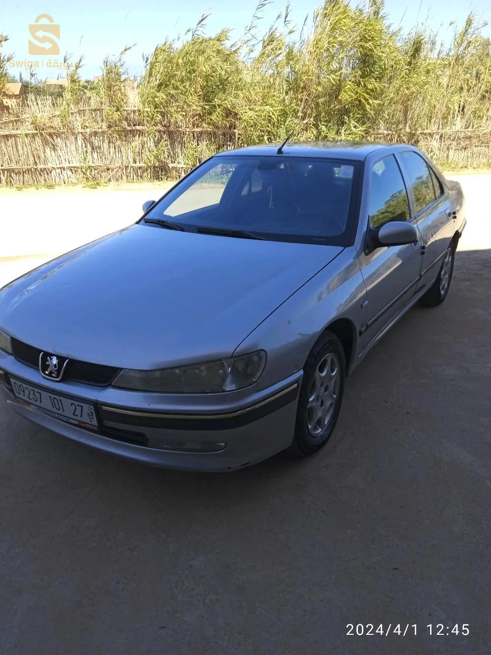 عشعاشة مستغانم