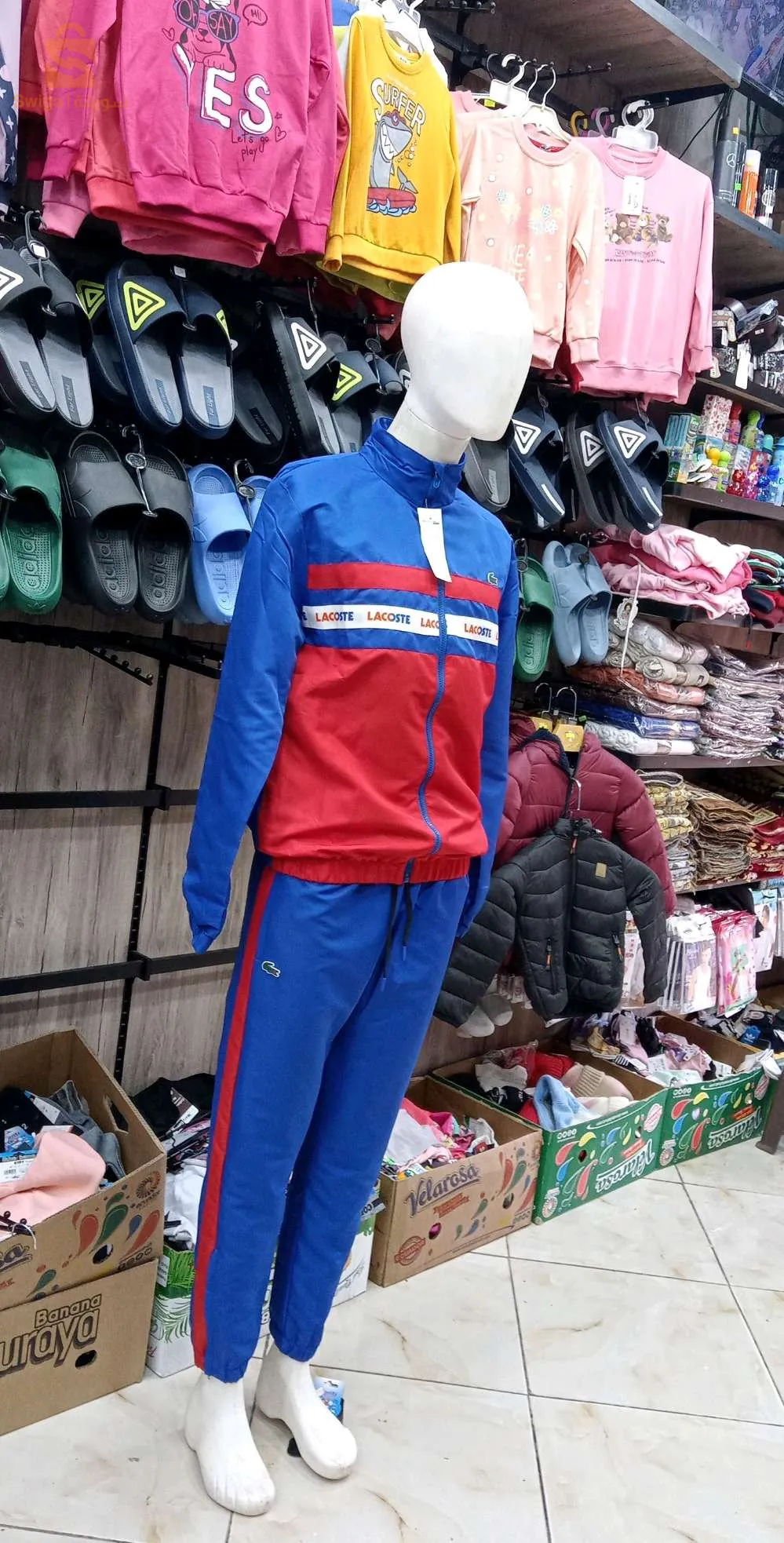 سيرفات صولد حبات لخرين.كاليتي شابة