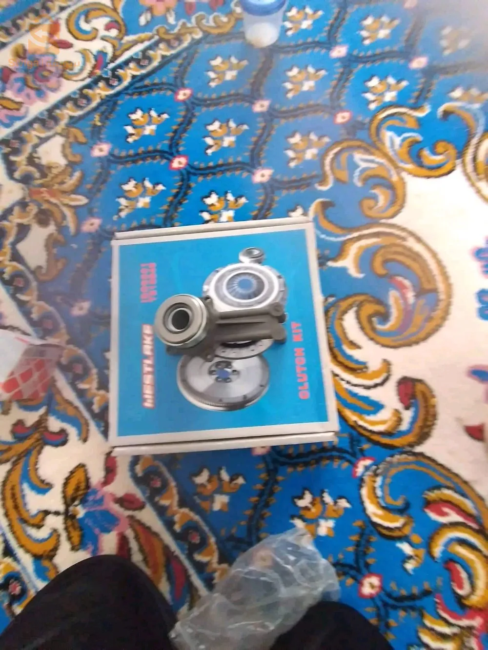 مسرغين وهران