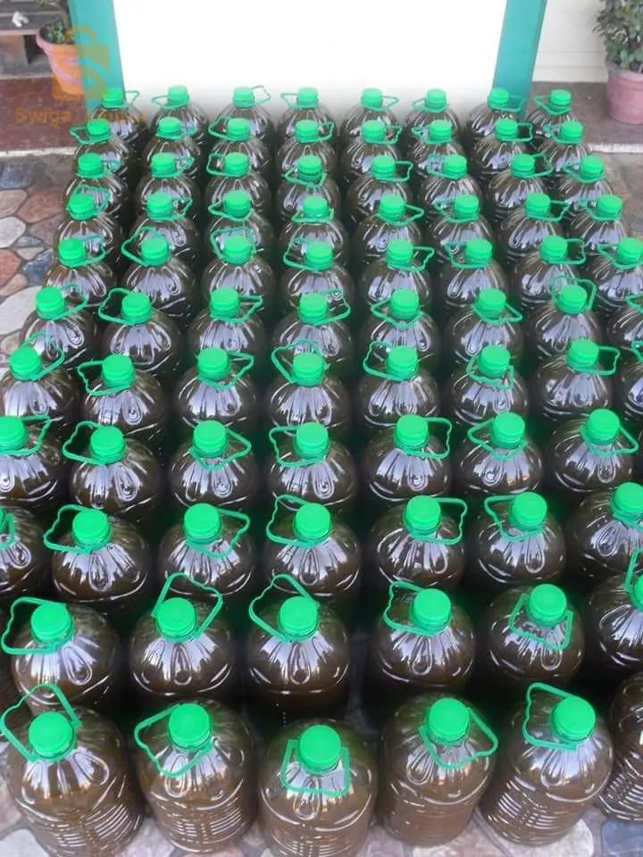 زيت الزيتون انتاج نوفمبر 2023